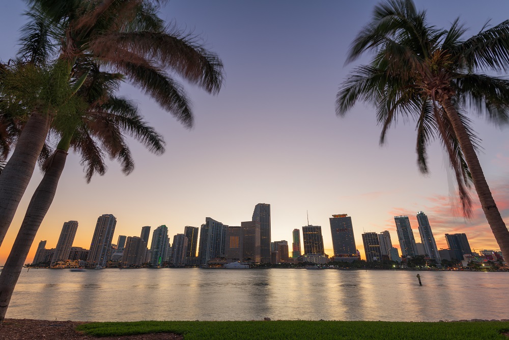 Miami, Florida, USA skyline on Biscayne Bay with Palms Miami downtown skyline