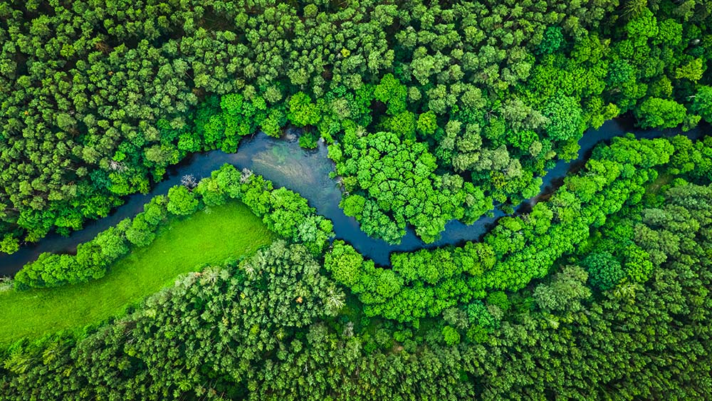 River and green forest in Tuchola natural park, aerial view Nachhaltigkeits